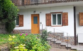 Roda De Vael